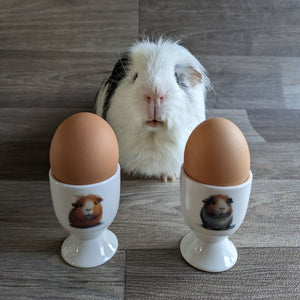 Guinea Pig Egg Cups