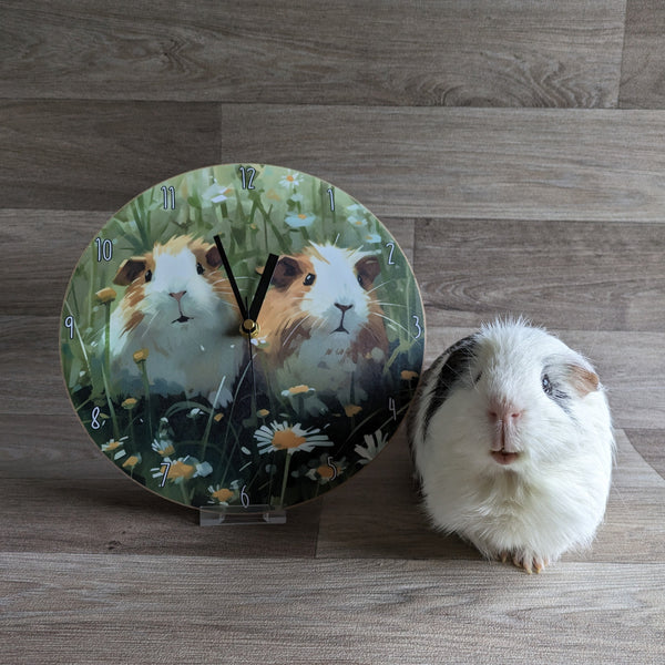 Guinea Pig Wall Clock (Daisy)