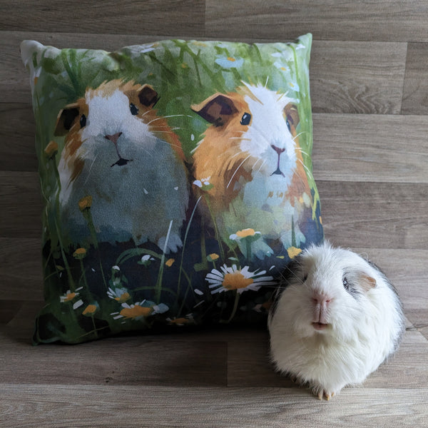 Guinea Pig Cushion (Daisy)