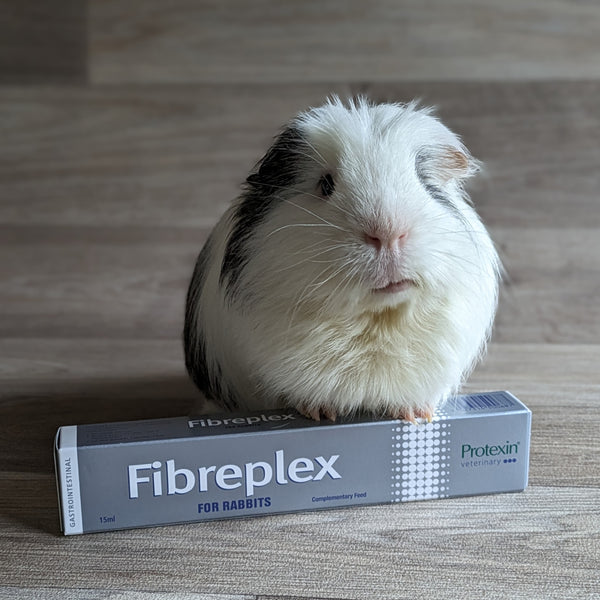 Protexin Fibreplex for Rabbits and Herbivores 15ml