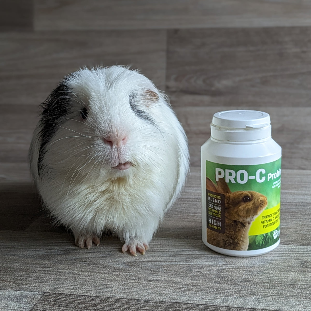 Vetark Pro C Probiotic for Guinea Pigs and Small Mammals Everything