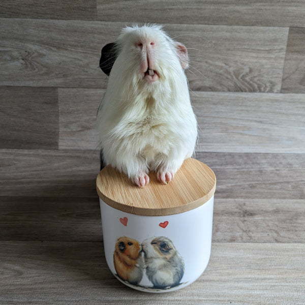 Guinea Pig Treat Jar (Kissing)