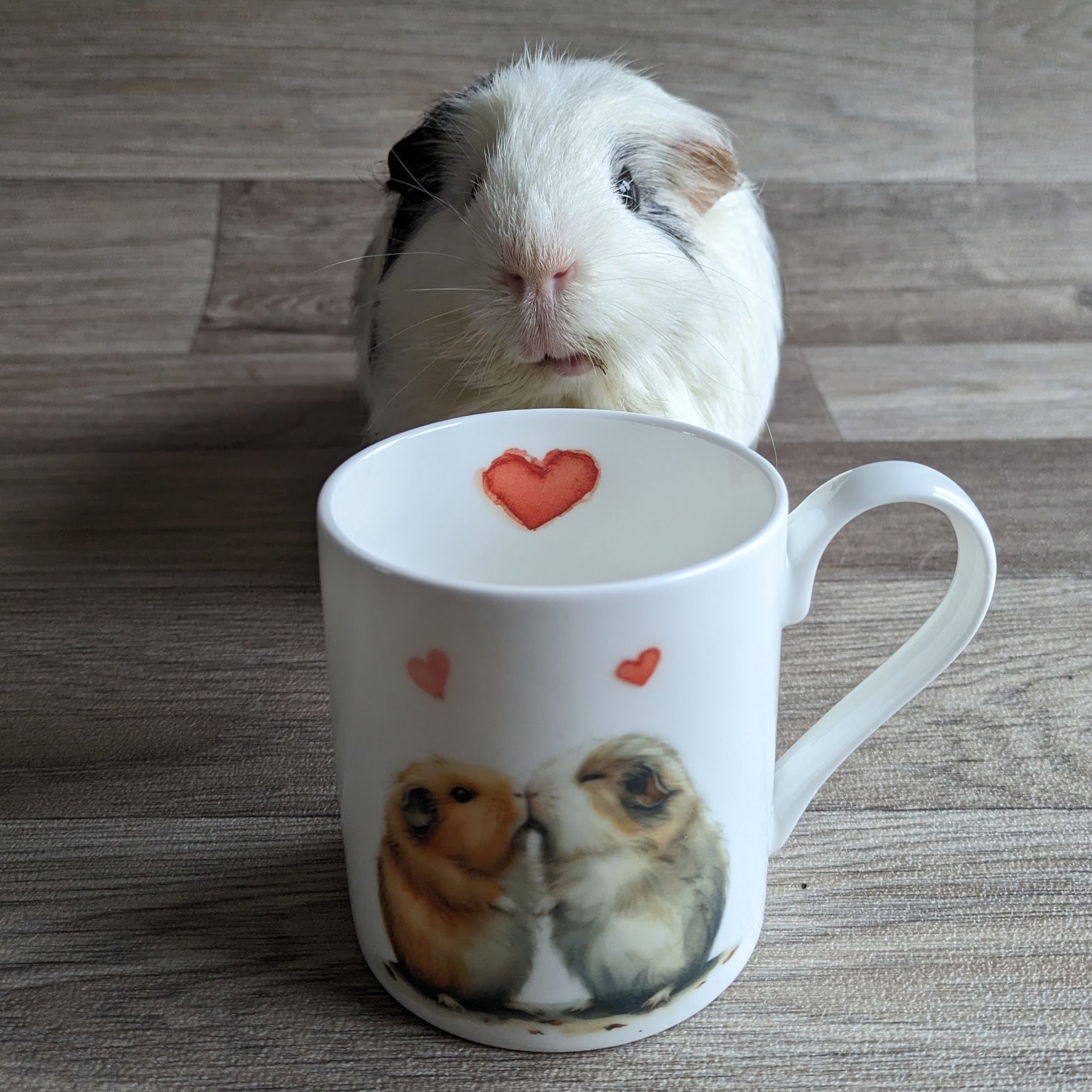 Guinea Pig Mug