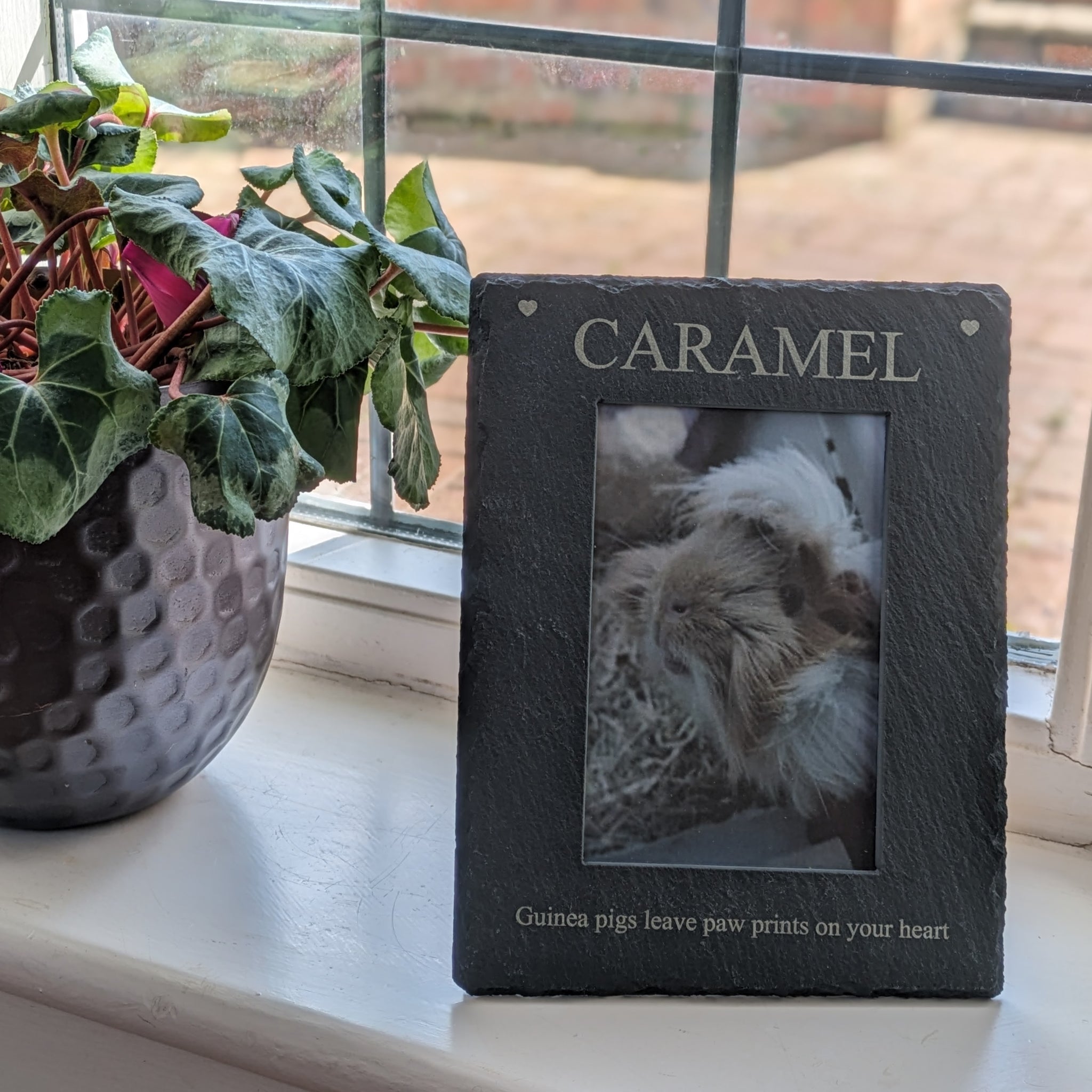 Personalised Guinea Pig Photo Frame