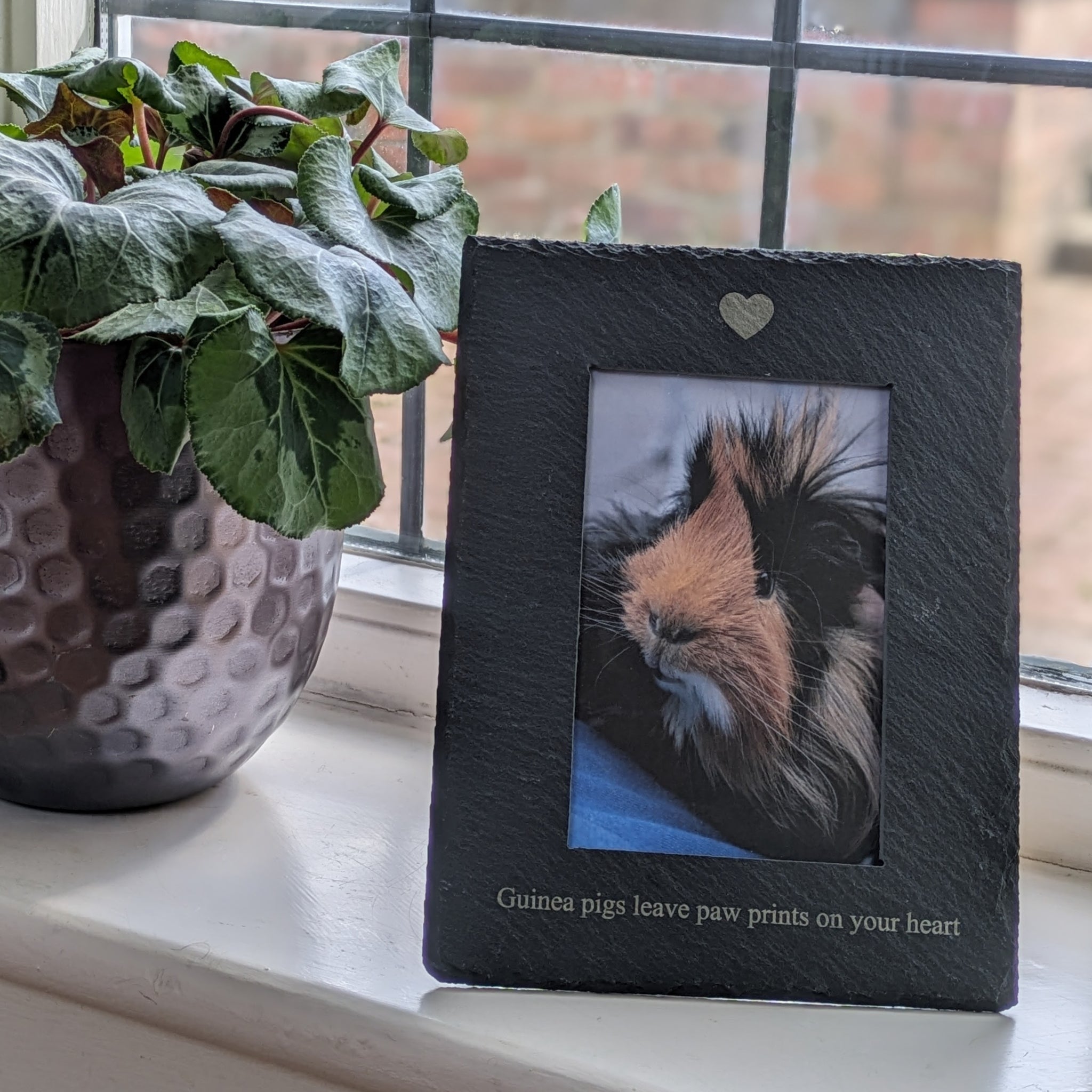 Guinea Pig Photo Frame