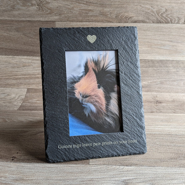 Guinea Pig Photo Frame