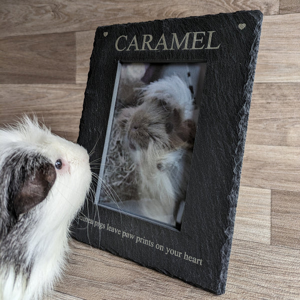 Personalised Guinea Pig Photo Frame