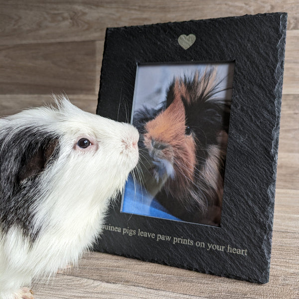 Guinea Pig Photo Frame