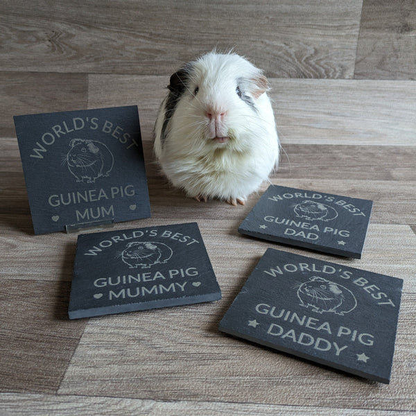 Guinea Pig Daddy Slate Coaster