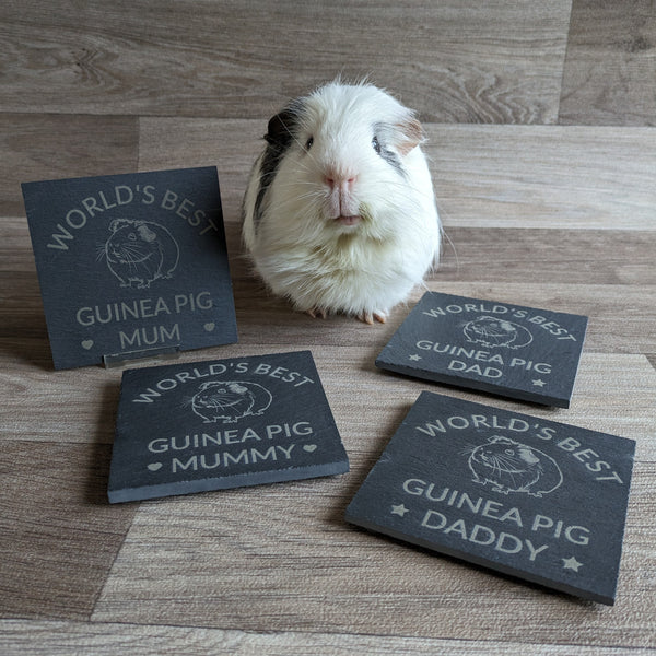 Guinea Pig Dad Slate Coaster