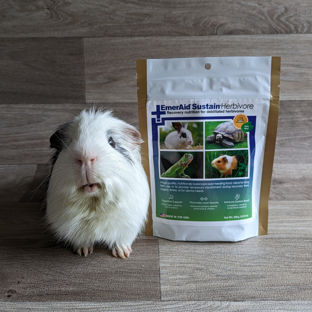 EmerAid Sustain Herbivore 100g – Everything Guinea Pig
