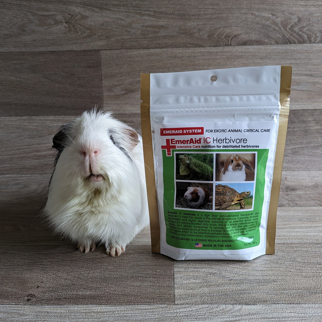 EmerAid Intensive Care IC Herbivore 100g – Everything Guinea Pig