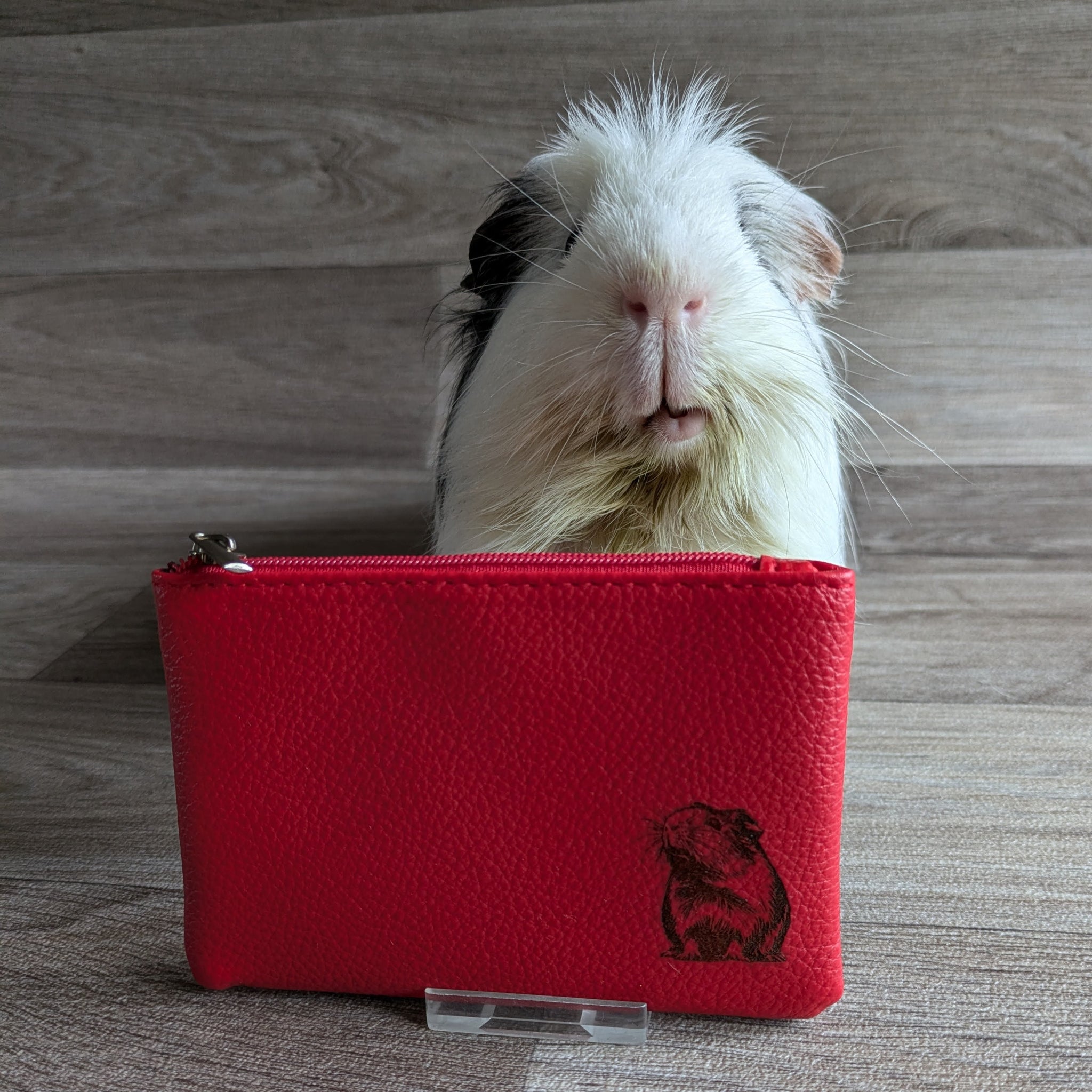 Guinea Pig Coin Purse (Red)