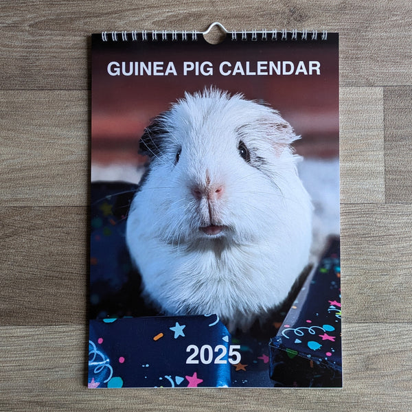 Guinea Pig Calendar 2025
