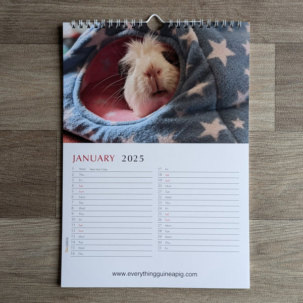 Guinea Pig Calendar 2025
