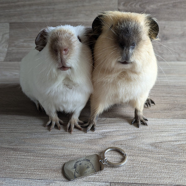 Guinea Pig Keyring