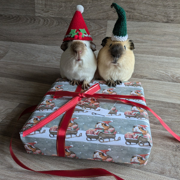 Guinea Pig Christmas Wrapping Paper and Gift Tag Set (Sleigh)