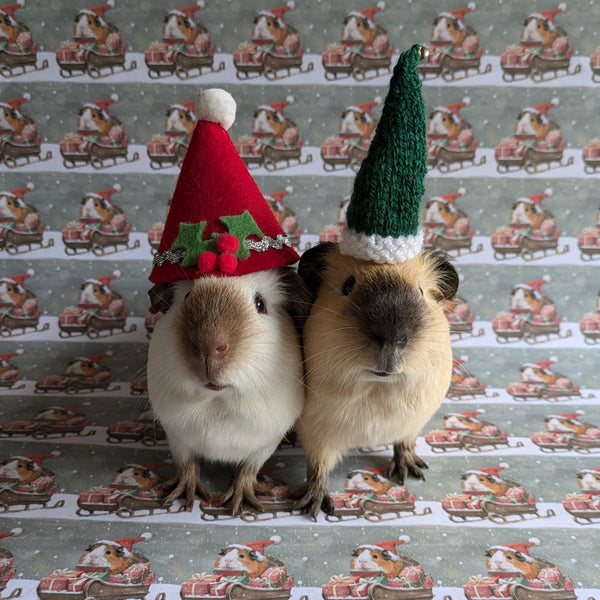 Guinea Pig Christmas Wrapping Paper and Gift Tag Set (Sleigh)
