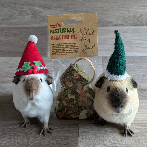 Rosewood Naturals Festive Fruit Tree Guinea Pig Treat