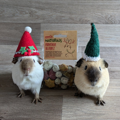 Rosewood Naturals Christmas Allsortz Guinea Pig Treat