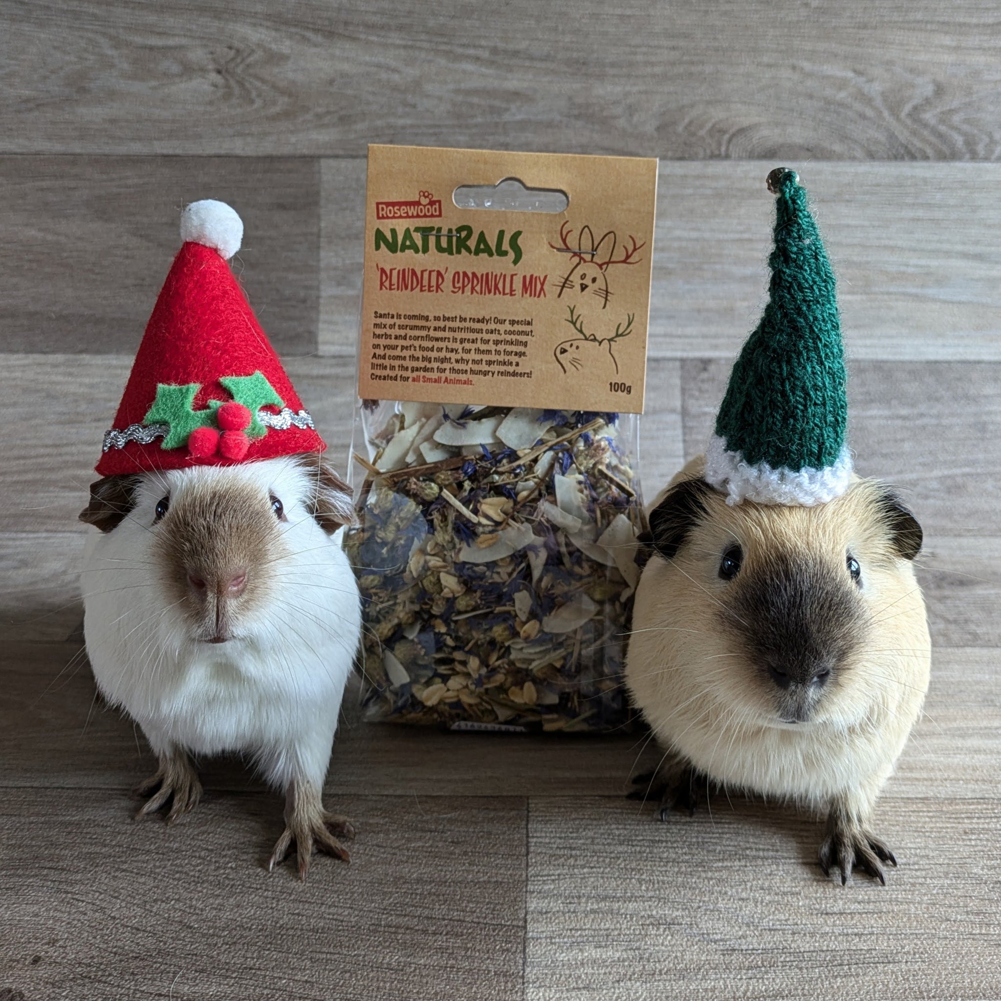 Rosewood Naturals Reindeer Sprinkle Mix Guinea Pig Treat