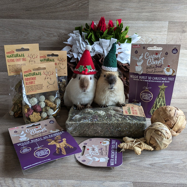 Rosewood Naturals Cupid and Comet Water Hyacinth Trio Tree Guinea Pig Toy