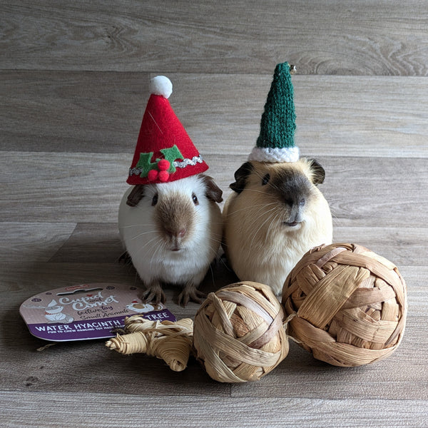 Rosewood Naturals Cupid and Comet Water Hyacinth Trio Tree Guinea Pig Toy
