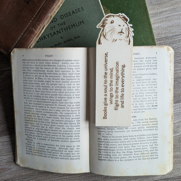 Guinea Pig Bookmark