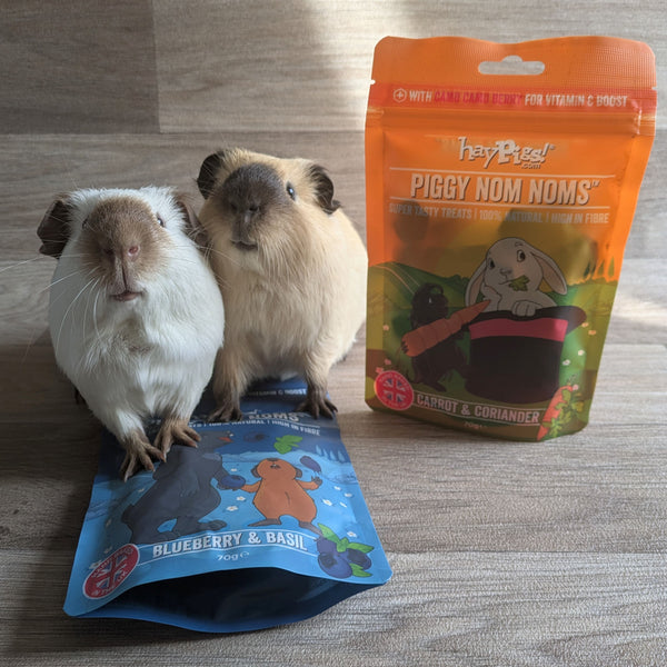 HayPigs! Piggy Nom Noms Blueberry and Basil Guinea Pig Treats