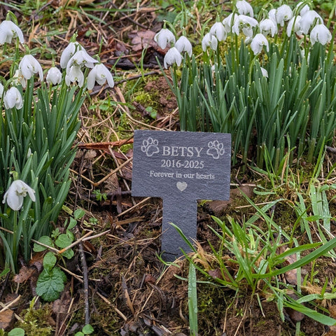 Personalised Pet Memorial Spike (Paw Prints)