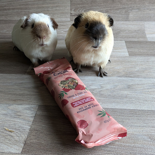 Burgess Excel Nature Snacks Forage & Feast Bar with Rose treat for guinea pigs