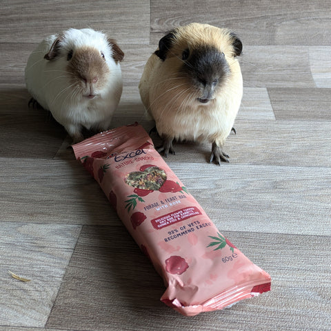 Burgess Excel Nature Snacks Forage & Feast Bar with Rose treat for guinea pigs