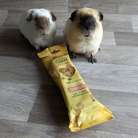 Burgess Excel Nature Snacks Forage & Feast Bar with Marigold treat for guinea pigs
