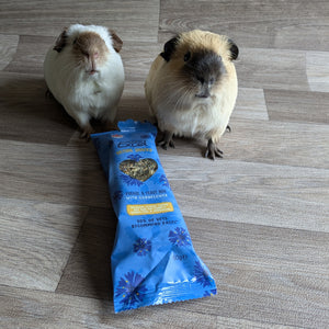 Burgess Excel Nature Snacks Forage & Feast Bar with Cornflower treat for guinea pigs