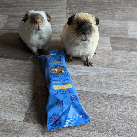 Burgess Excel Nature Snacks Forage & Feast Bar with Cornflower treat for guinea pigs