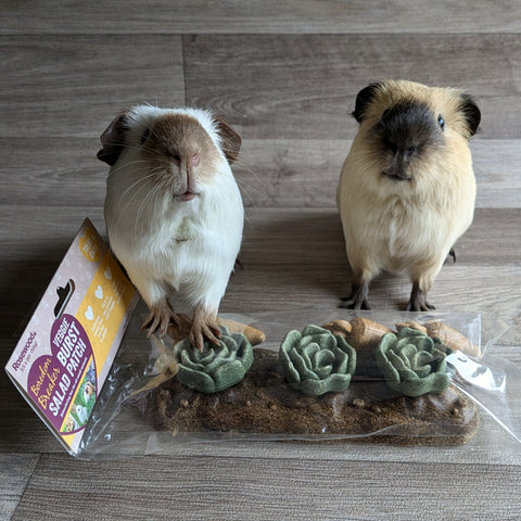 Rosewood Naturals Boredom Breaker Veggie Burst Salad Patch Treat for Guinea Pigs