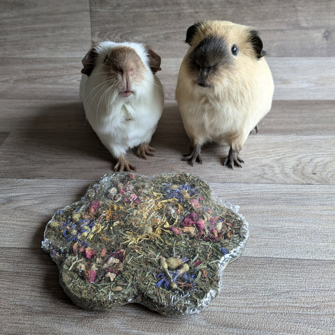 Rosewood Naturals Flower 'n' Forage Blossom Treat for Guinea Pigs