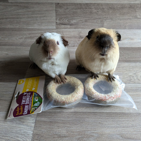 Rosewood Naturals Treat 'n' Gnaw Donuts Treat for Guinea Pigs