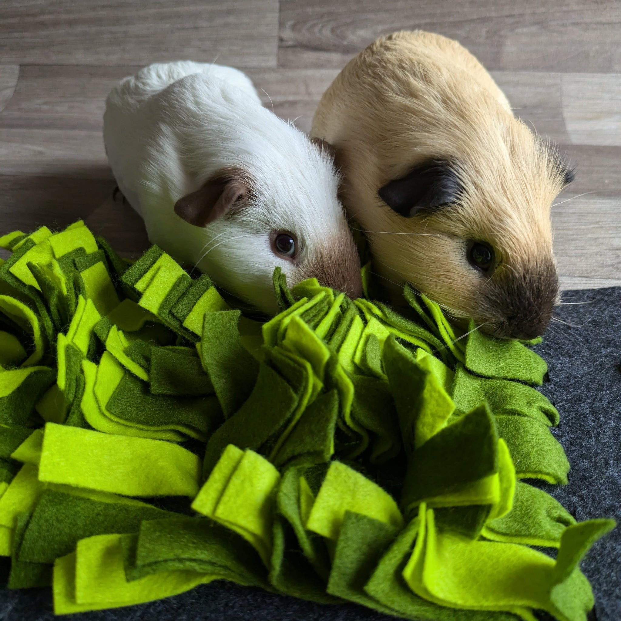 Rosewood Naturals Snuffle Forage Mat Guinea Pig Toy