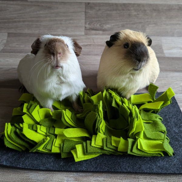 Rosewood Naturals Snuffle Forage Mat Guinea Pig Toy