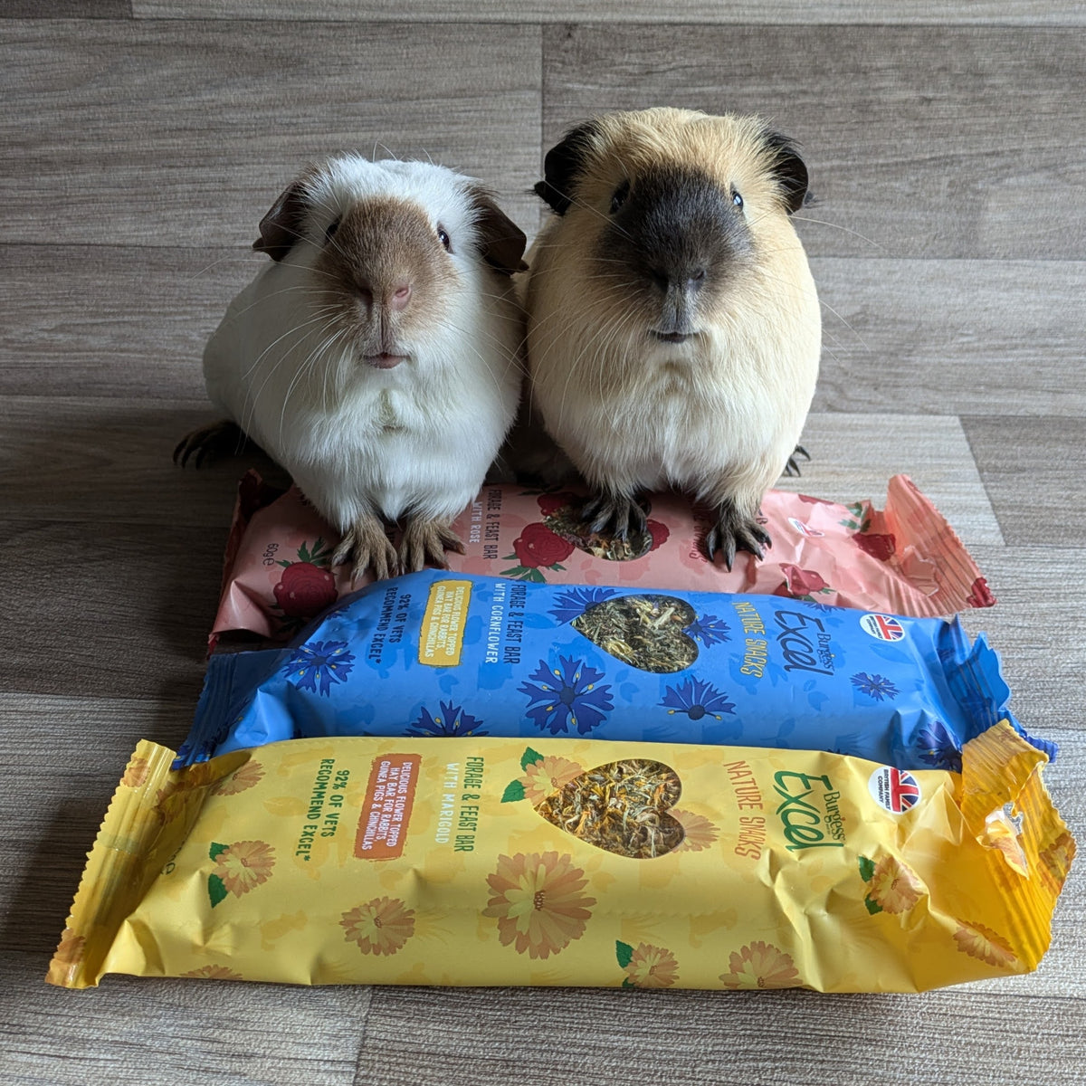 Burgess Excel Nature Snacks Forage Feast Bar With Rose Treat For Gui