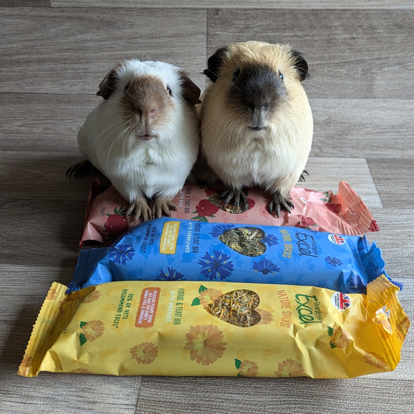 Burgess Excel Nature Snacks Forage & Feast Bar with Rose treat for guinea pigs