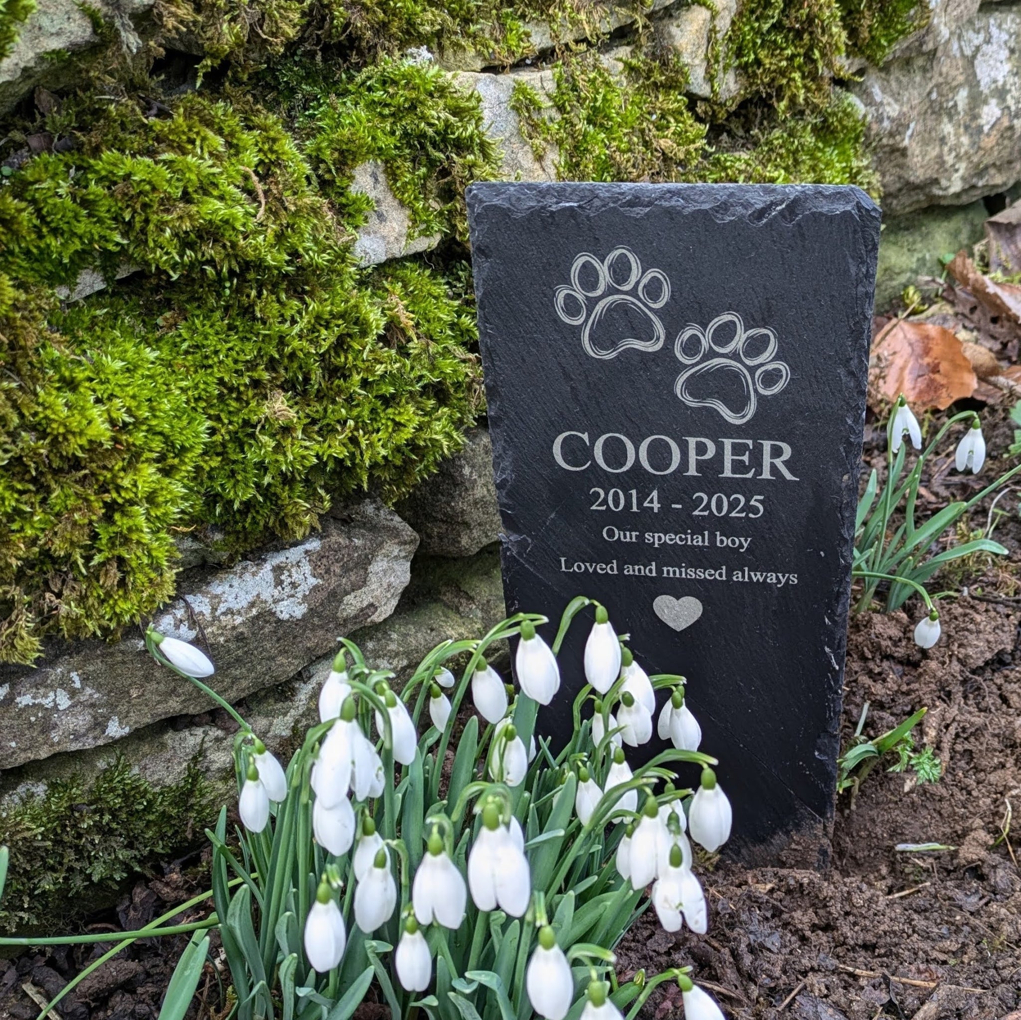 Personalised Pet Memorial Plaque (Paw Prints)