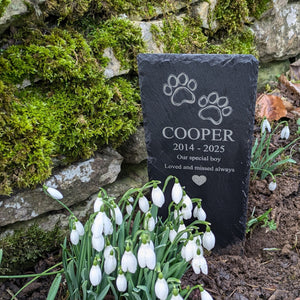 Personalised Pet Memorial Plaque (Paw Prints)