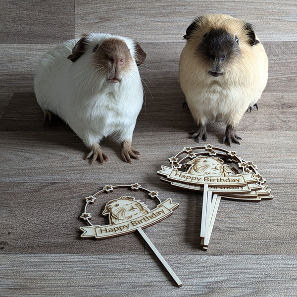 Guinea Pig Birthday Cake Topper