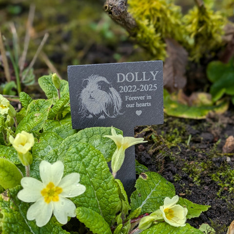 Personalised Long Haired Guinea Pig Slate Memorial Spike