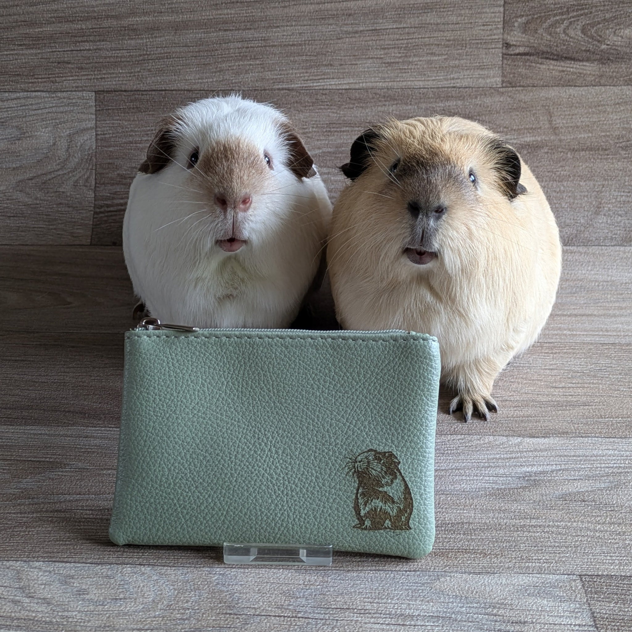 Guinea Pig Coin Purse (Green)