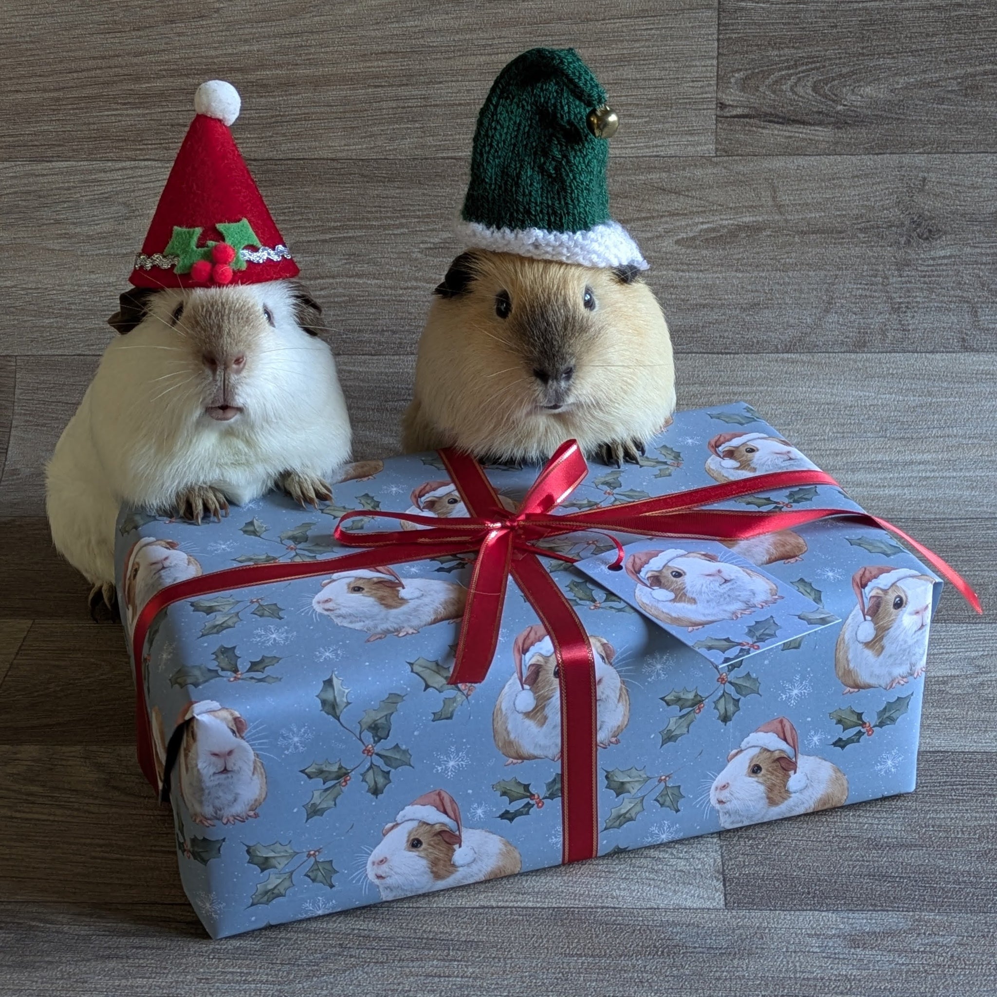 Guinea Pig Christmas Wrapping Paper and Gift Tag Set (Holly and Berries)