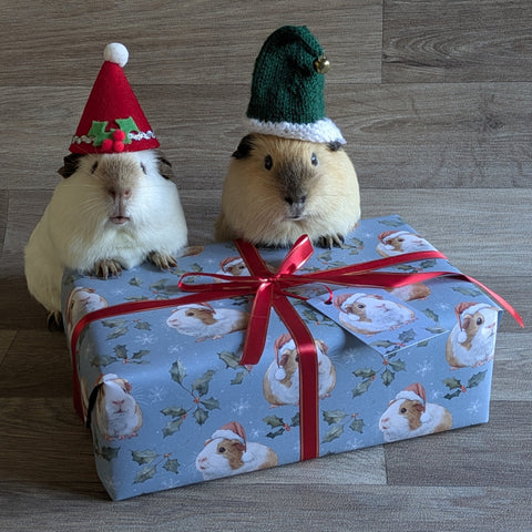 Guinea Pig Christmas Wrapping Paper and Gift Tag Set (Holly and Berries)