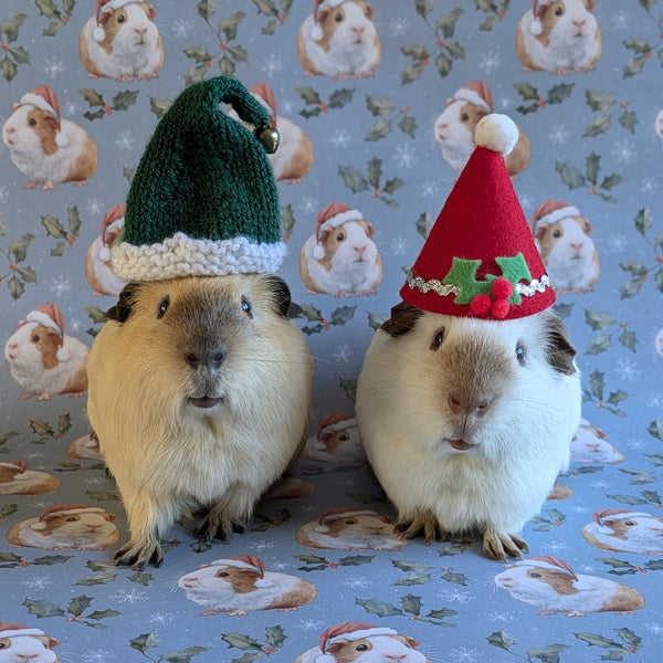 Guinea Pig Christmas Wrapping Paper and Gift Tag Set (Holly and Berries)